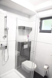 uma casa de banho com um WC e uma cabina de duche em vidro. em KOMFORT SUTERENA em Blizne Łaszczyńskiego