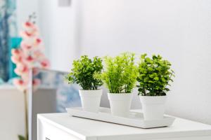 Kép Apartment Eunice szállásáról Orihuelában a galériában