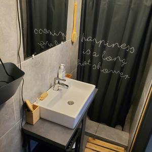 a bathroom with a sink and a shower at Duna House Duna Ház in Tass +48 photos