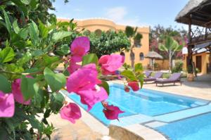 a resort with a swimming pool and pink flowers at Zan View Hotel in Kiwengwa