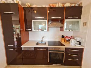 Kuchyň nebo kuchyňský kout v ubytování Apartments RUZA