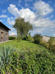 une cour herbeuse avec une maison et un arbre dans l'établissement AgroGłęboczek Karbowski Waldemar, à Mały Głęboczek