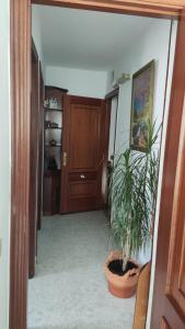 un corridoio con una porta e una pianta in vaso di Casa David a Triacastela
