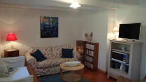 Et tv og/eller underholdning på Les Olivettes le mazet