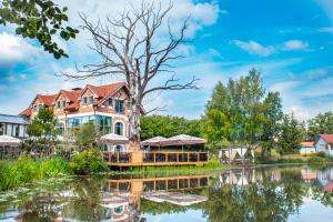 a large house on the water with a tree at Radailiu Dvaras - Dinosaur Park in Radailiai