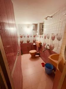 a bathroom with a toilet and a sink at Samantha Inn Beach Resort in Arambol