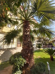 Vonkajšia záhrada v ubytovaní Oniro Rooms & Suites