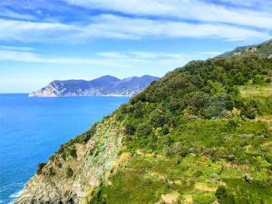 a hillside with the ocean and mountains in the background at il Magàn - Cinque Terre in Corniglia