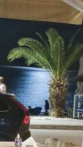 Príroda v okolí apartmánového hotela