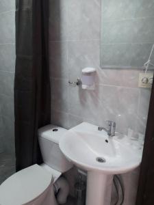 a bathroom with a white toilet and a sink at Guest House Mari30 in Mestia