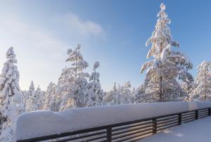 Rokovan Helmi - Natural peace in Ruka-Kuusamo v zimě