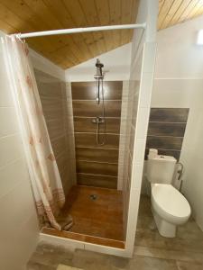 La salle de bains est pourvue de toilettes et d'une douche avec rideau de douche. dans l'établissement chata Derikovo, à Gaboltov