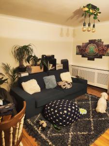 a living room with a black couch with pillows at Single bedroom in quiet neighbourhood in Mount Vernon