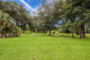 two picnic tables in a park with trees and grass at Quality Inn White Springs Suwanee in Live Oak