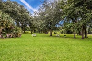 dos mesas de picnic en un parque con árboles y césped en Quality Inn White Springs Suwanee en Live Oak