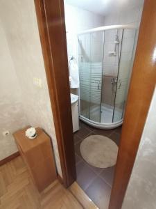 ein Badezimmer mit Glasdusche und Toilette in der Unterkunft Zelenkada in Zlatibor