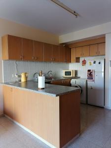 cocina con encimera y nevera en St Nikolas 1bdm Apartment, FREE Wi-Fi & Parking, en Nicosia