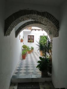Ogród w obiekcie La Guarida de Vejer Casa Rural
