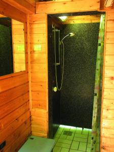 ein Bad mit einer Dusche an einer Holzwand in der Unterkunft Finnhütten Waldesruh in Lochow