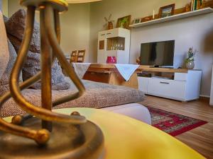 a living room with a couch and a television at Ferienwohnungen Kleinräschen in Großräschen