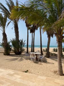 Villa Nº 25 Alfredo Marchetti Suites on the Beach,Praia de Chaves BV في Cabeçadas: طاولة وكراسي على الشاطئ مع أشجار النخيل