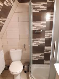 a bathroom with a toilet and a shower at Wypoczynek u Hazów in Chochołów