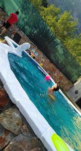 a man in a swimming pool with a frisbee at Pansion Renata in Prozor