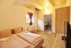 Telewizja i/lub zestaw kina domowego w obiekcie Apartmany Troll