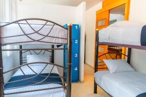 two bunk beds in a room with a bunk bedskirts at Hostal Talavera in Puebla
