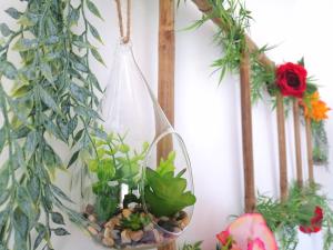 a bunch of plants in a bag hanging on a wall at Le 1965 Double BALNEO, confort et romantique in Grenoble