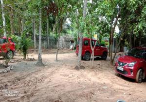 Aashikha Farm House في بونديتْشيري: شاحنة حمراء متوقفة في غابة بها أشجار