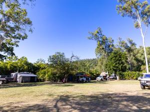 a group of tents in a field with trees at NRMA Airlie Beach Holiday Park in Airlie Beach