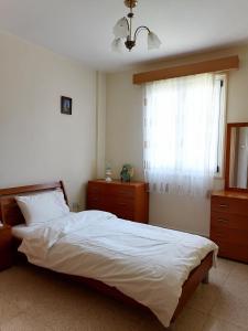 1 dormitorio con 1 cama, 2 vestidores y ventana en St Nikolas 1bdm Apartment, FREE Wi-Fi & Parking, en Nicosia