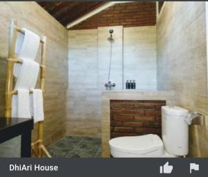 Dhiari Guest House的一间浴室