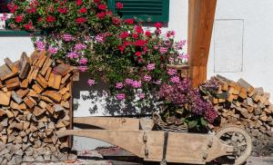 Ogród w obiekcie Ferienwohnung Flora Altaussee