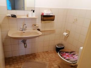 ein kleines Badezimmer mit Waschbecken und Toilette in der Unterkunft Ferienhaus Josefine in Bad Endorf + 12 Fotos
