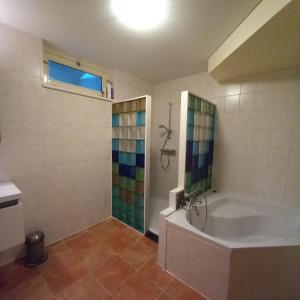een badkamer met een bad en een glazen douche bij Bungalow met privé jacuzzie in Lunteren