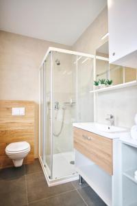 y baño con ducha, aseo y lavamanos. en Apartments Čatež - Terme Čatež, en Čatež ob Savi