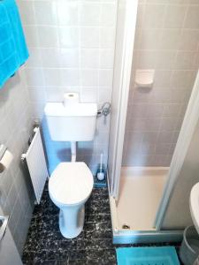 a small bathroom with a toilet and a shower at Frühstückspension See-Panorama in Podersdorf am See