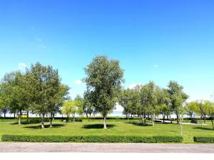 einen Park mit Bäumen auf einem grünen Feld in der Unterkunft Frühstückspension See-Panorama in Podersdorf am See