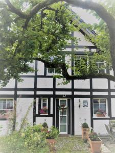 a black and white house with a tree at Feriendomizil Burg in Overath