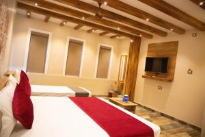 TV a/nebo společenská místnost v ubytování Hotel Ganesh Palace