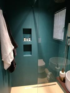 W łazience znajduje się szklana kabina prysznicowa, toaleta i umywalka. w obiekcie Relais San Rocco w mieście Mira