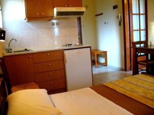 A kitchen or kitchenette at Pagaseon Rooms and Apartments
