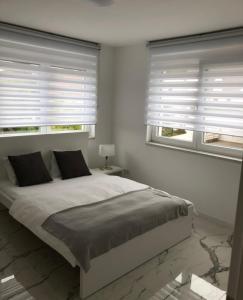 a bedroom with a large bed and two windows at Luxusvilla Neubau 2 in Oberasbach