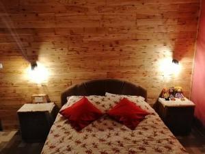 ein Schlafzimmer mit einem Bett mit roten Kissen darauf in der Unterkunft Kuća za odmor Vilin vrt Vrnjacka Banja Otroci in Vrnjačka Banja