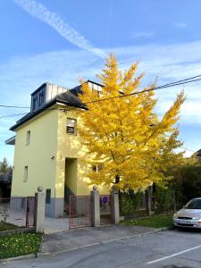 un árbol amarillo frente a una casa blanca en Soska 5 en Liubliana