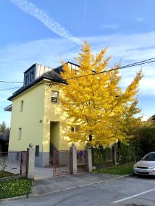 a yellow tree in front of a white house at Soska 5 in Ljubljana