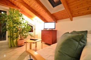 A television and/or entertainment centre at AJO Apartments - Alte Donau Lake View Penthouse - Self-Check-in