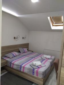 Postelja oz. postelje v sobi nastanitve Atina Lux Hostel